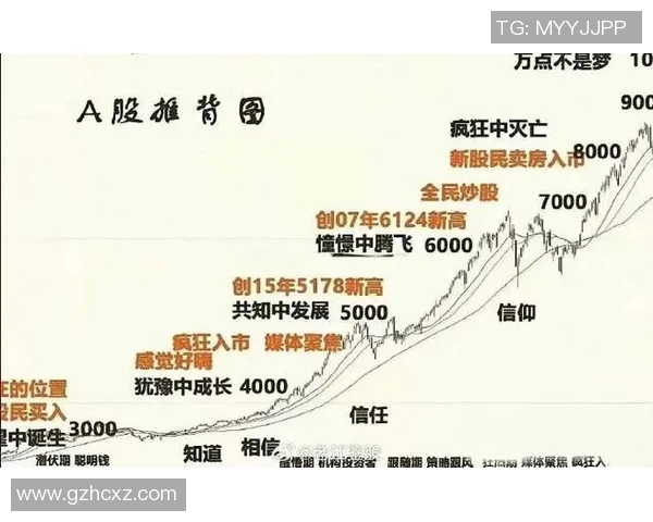 数据模型预测布克胜率：从历史数据看未来表现走势