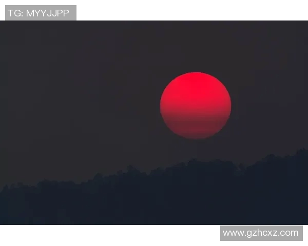 欧洲杯鲜为人知的十个冷知识揭晓 你知道多少