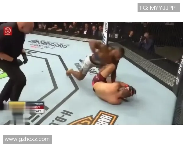 MMA格斗之夜：KO瞬间集锦