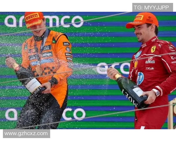 F1赛车手心理状态及比赛表现研究 F1赛车手心理状态及比赛表现研究